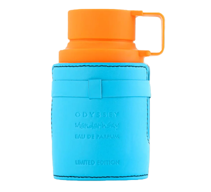 Blue and orange container with 'Odyssey' branding on a light gray background